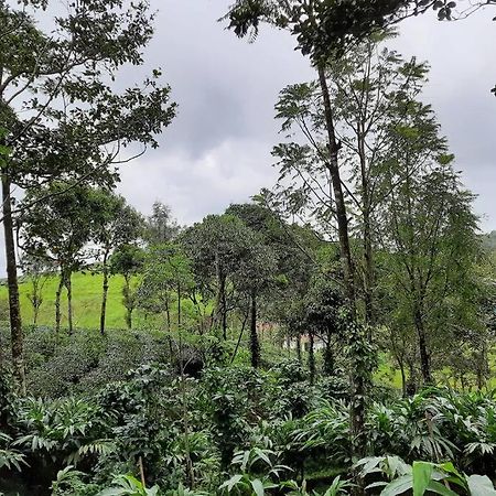 Farmstay In ചില്ലുകൂടാരം At Les Domki Et Al. Vagamon Ngoại thất bức ảnh