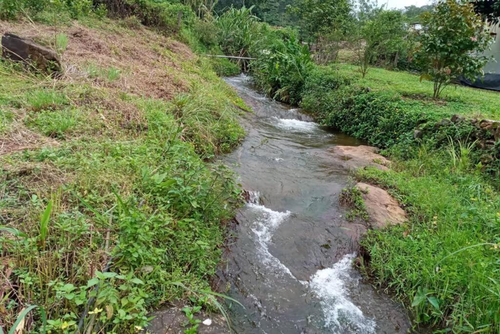 Farmstay In ചില്ലുകൂടാരം At Les Domki Et Al. Vagamon Ngoại thất bức ảnh