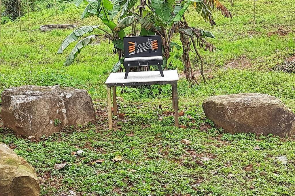 Farmstay In ചില്ലുകൂടാരം At Les Domki Et Al. Vagamon Ngoại thất bức ảnh